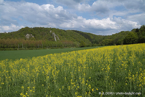 agriculture